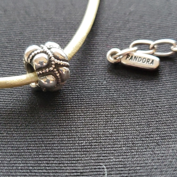 Pandora Cord and Charm - Picture 2 of 4